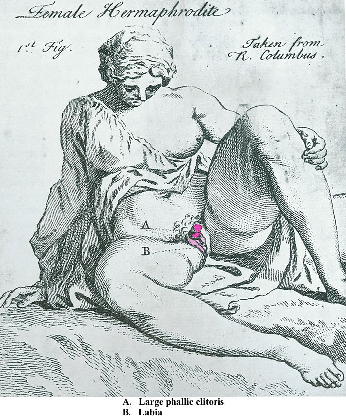 Female Hermaphrodite George Arnauld 1750